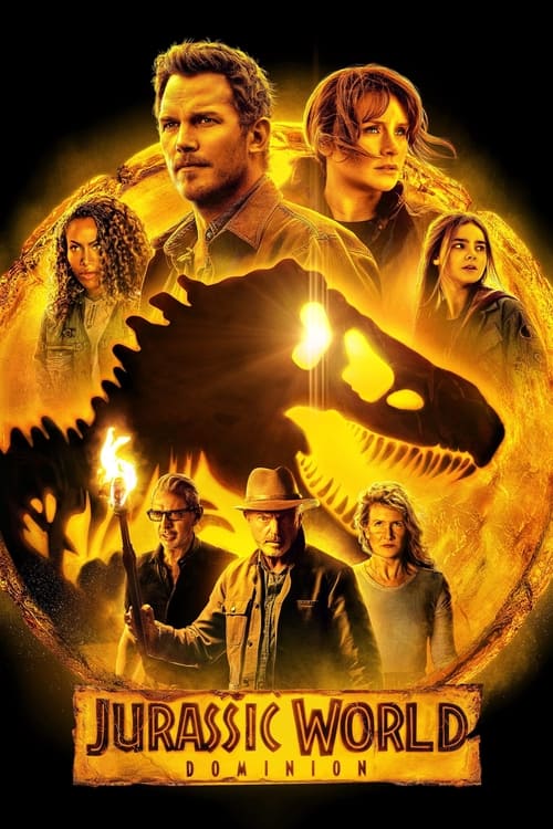 pelicula